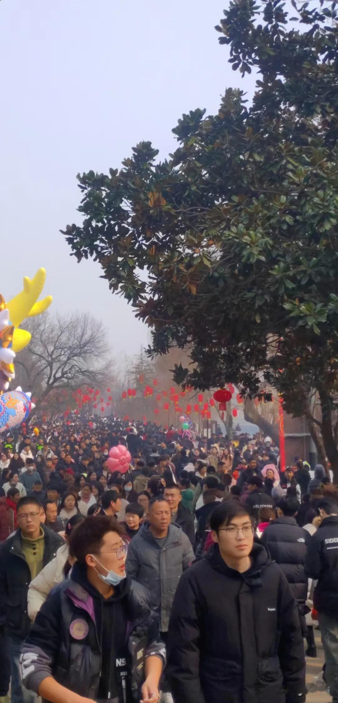 江苏邳州，大年初一的艾山风景区，人山人海水泄不通，初一有登高望远之说，盼今年步步
