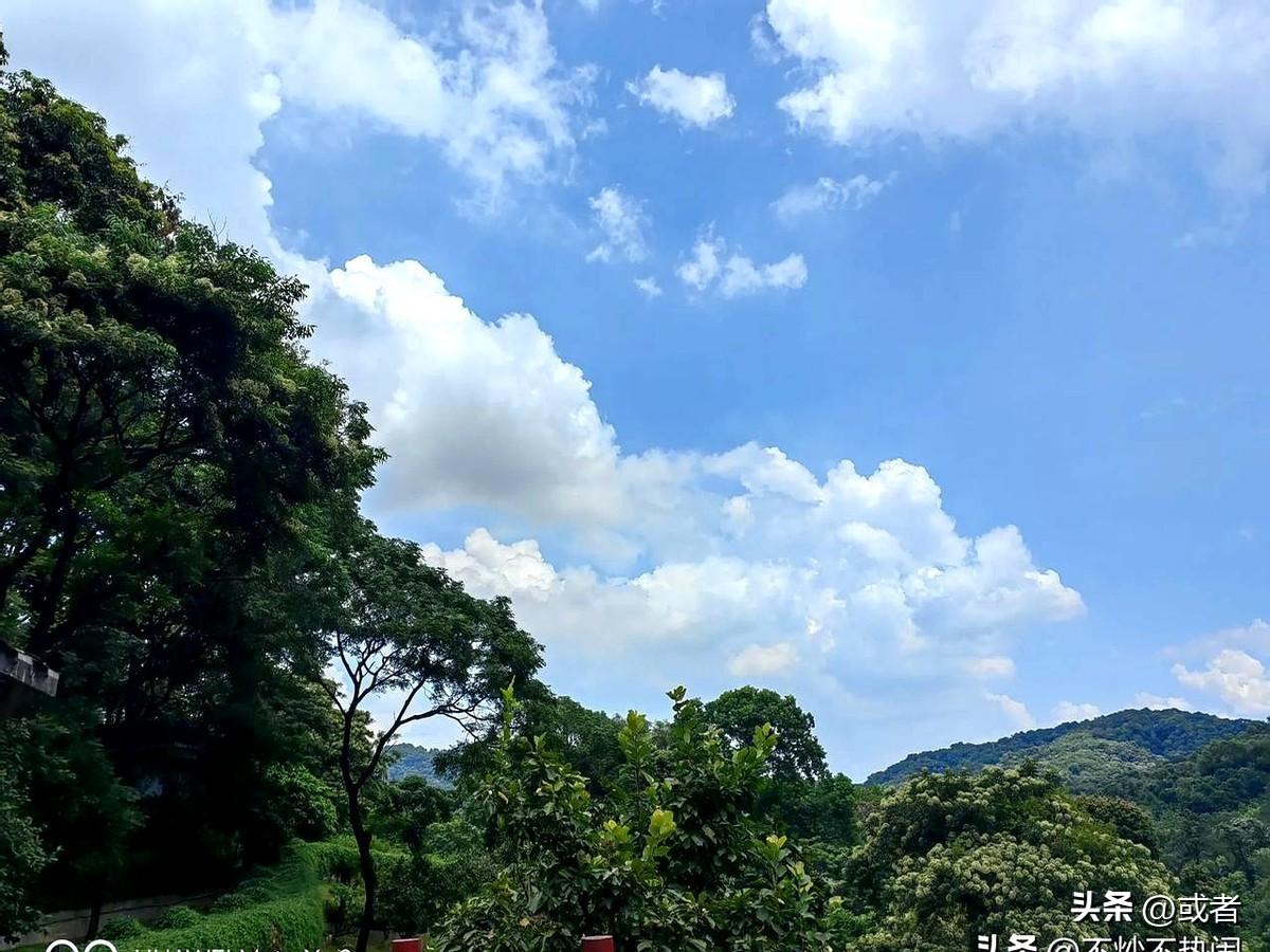 45岁从私企高管岗裸辞，像突然拆了发条的钟表——人虽然停下了，脑子还在惯性转圈。