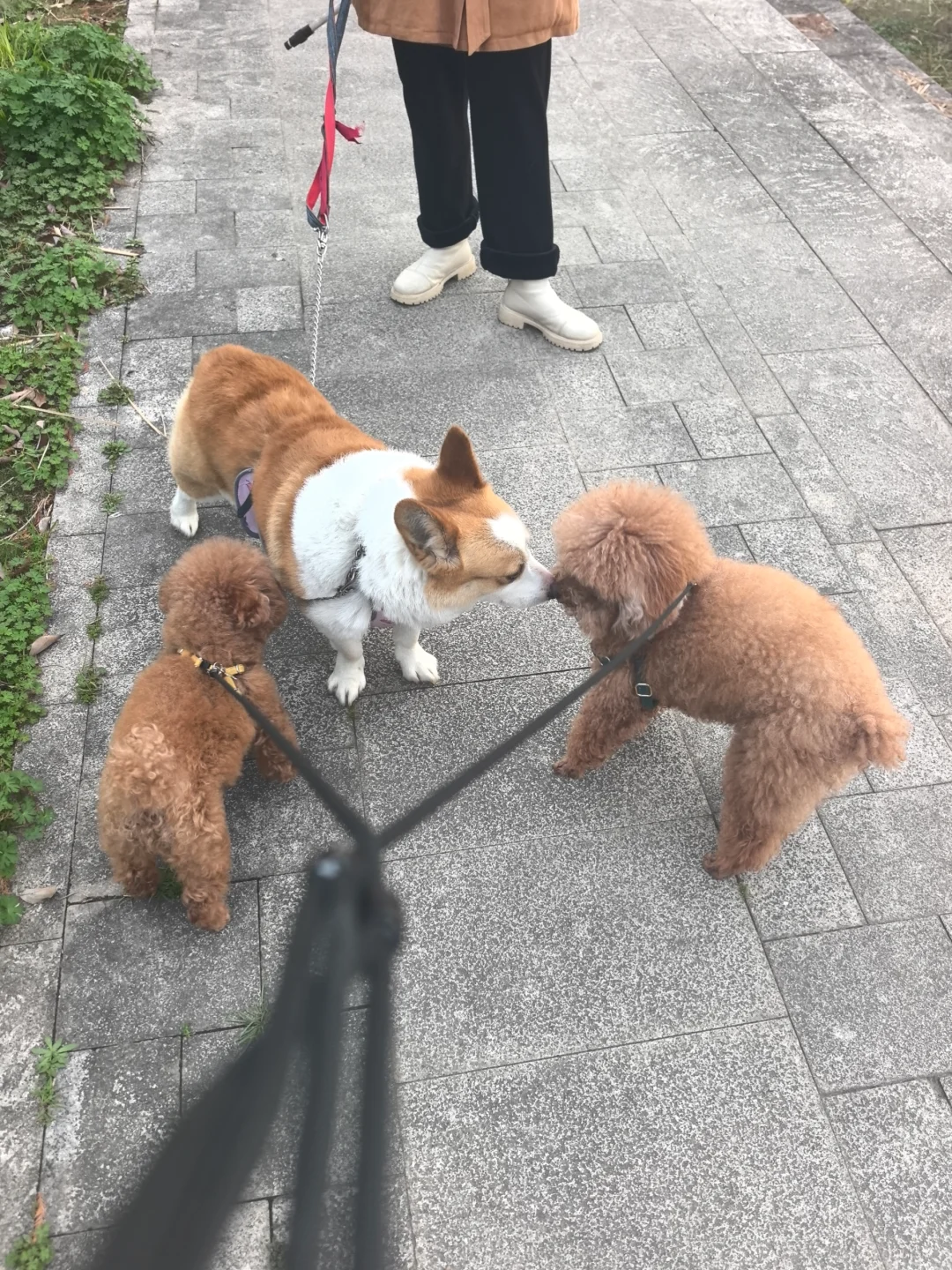 马年第一次碰面