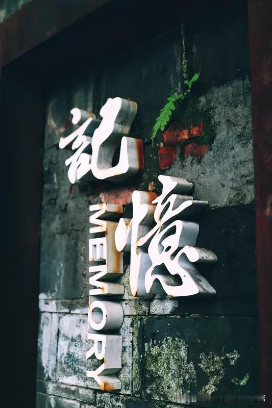 人生的过程，能够有这样的回忆，足矣！[赞]