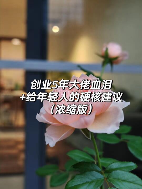 创业5年大佬血泪+给年轻人的硬核建议（浓缩