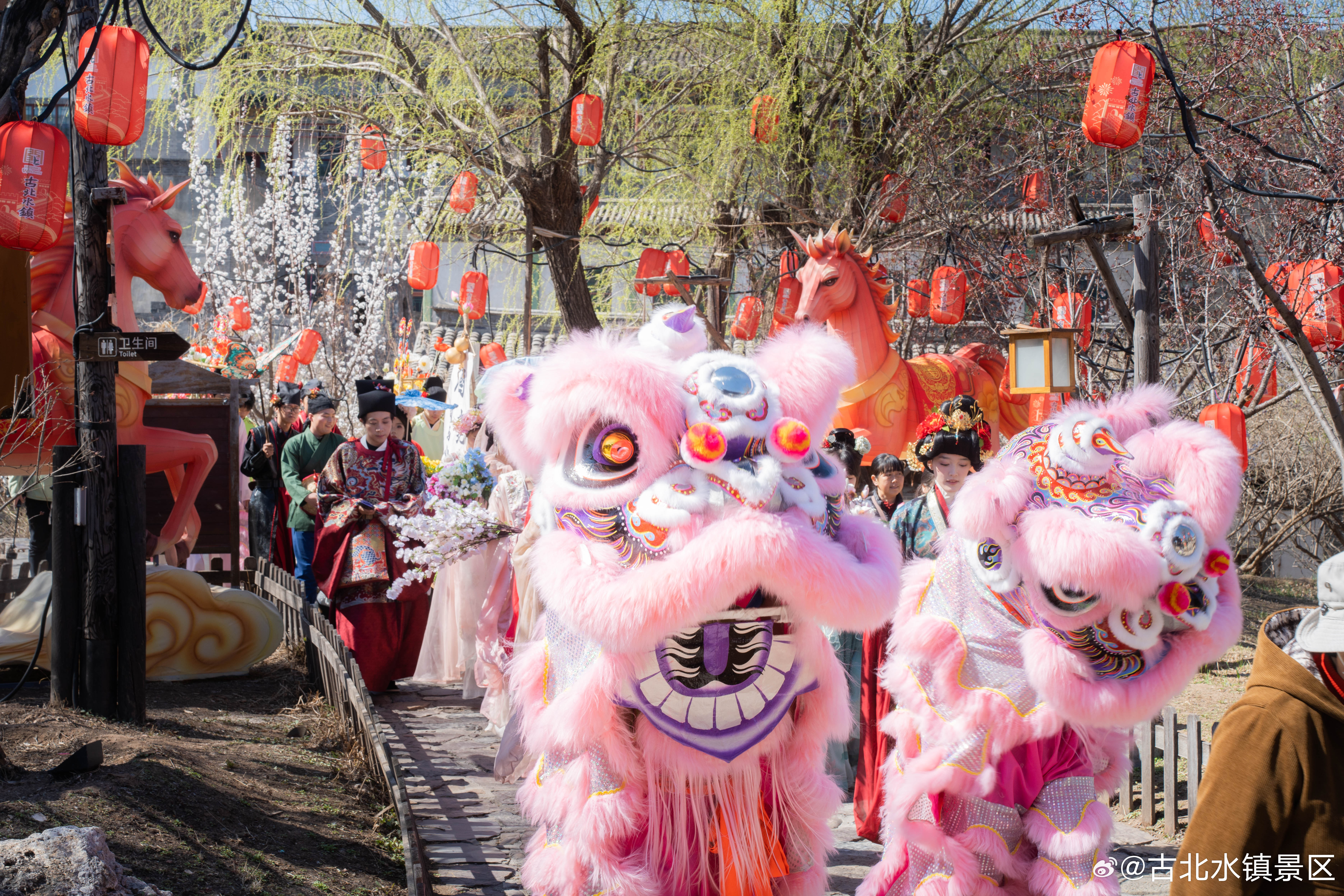 推开窗，遇见清晨第一缕微风好好生活，慢慢相遇早安，宝子们～#古北水镇# #司马台