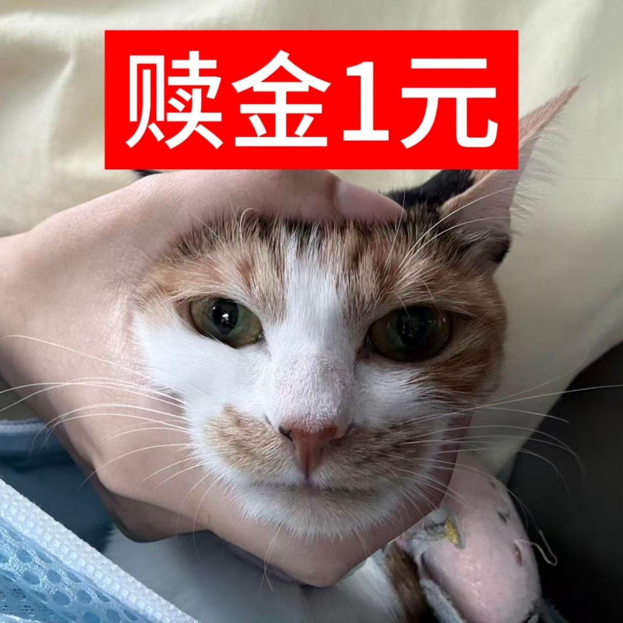 分享图片 