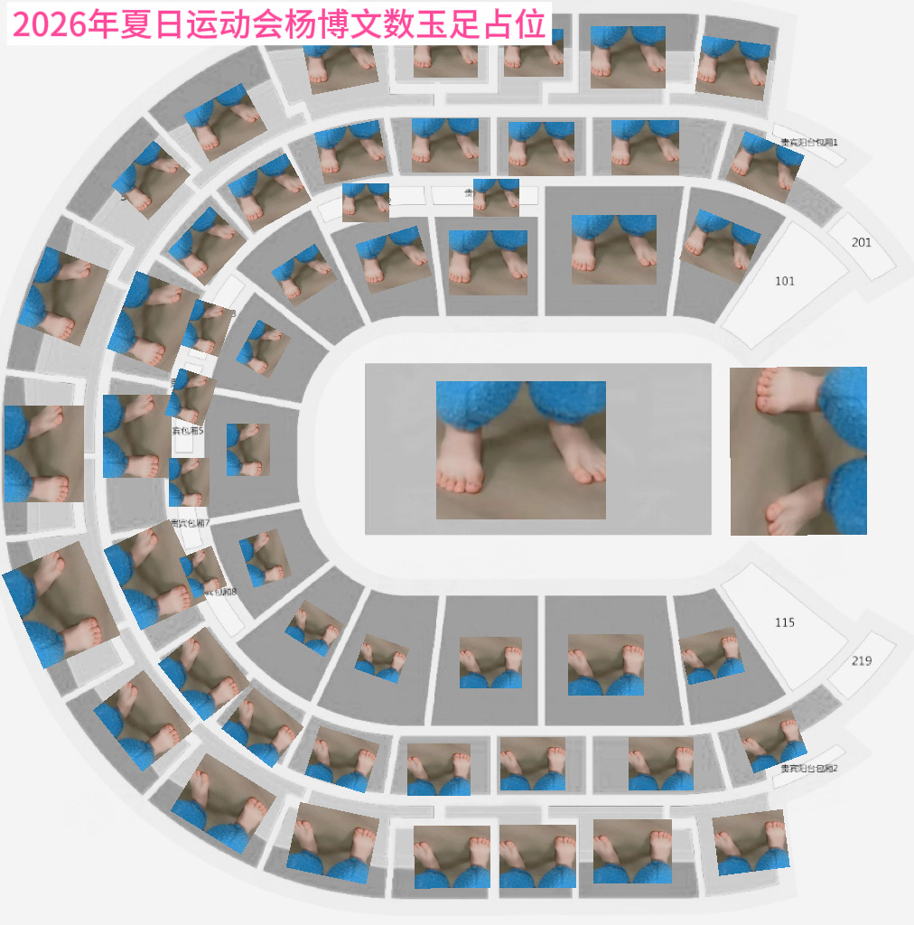 本次运动会硬核站位 
