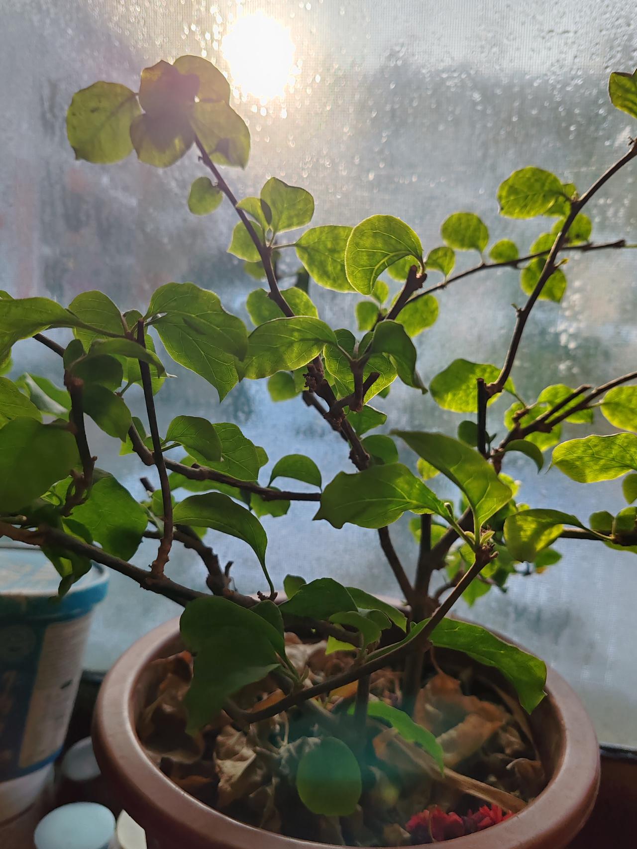 给自己一句爱自己的话，你会说什么