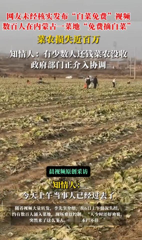 “网络谣言害人不浅！”11月10日报道，内蒙古赤峰，一条“白菜免费”的短视频在网