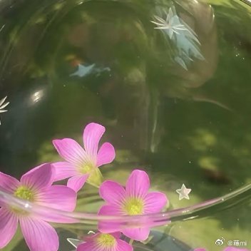 阳光信用 ❤️阳光信用❤️ 阳光信用 每日一善时间如雨，我们都是在雨中行走的人，