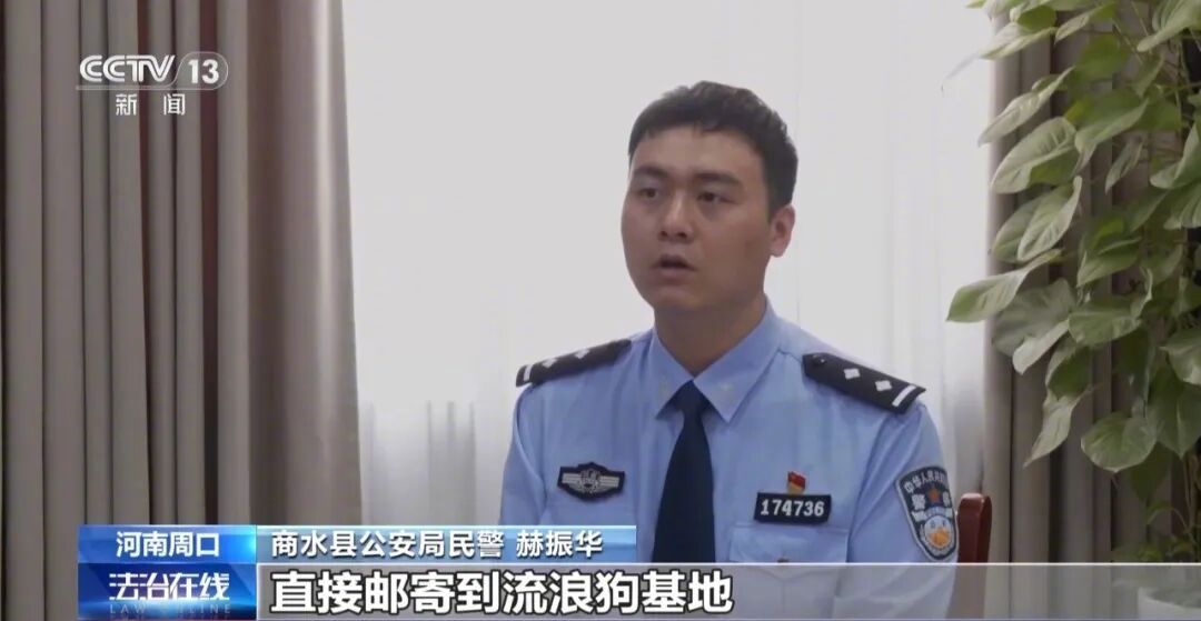 央视曝光救助流浪狗直播骗局主播打断狗腿摆拍救助视频热点解读 为了获得流量，一些人