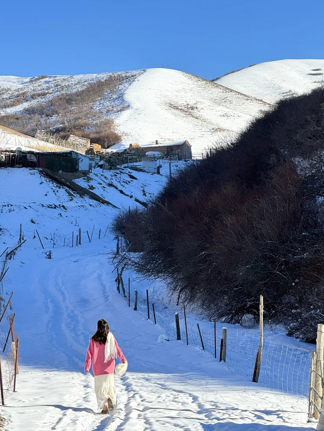 乌鲁木齐6个冬景宝藏地！！全都是我心头爱！！