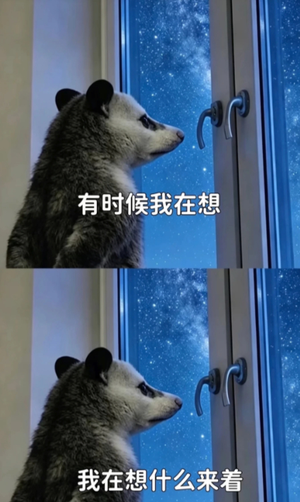 兄弟们，昨晚心里真的比这天气还要冷。本以为能带大家在欧联杯赛场收割一波，结果哈马
