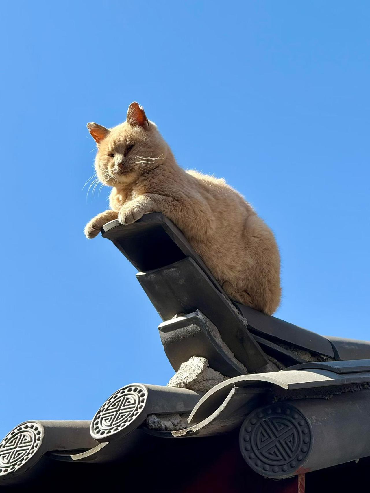 晒出你的相册里最好看的一张照片