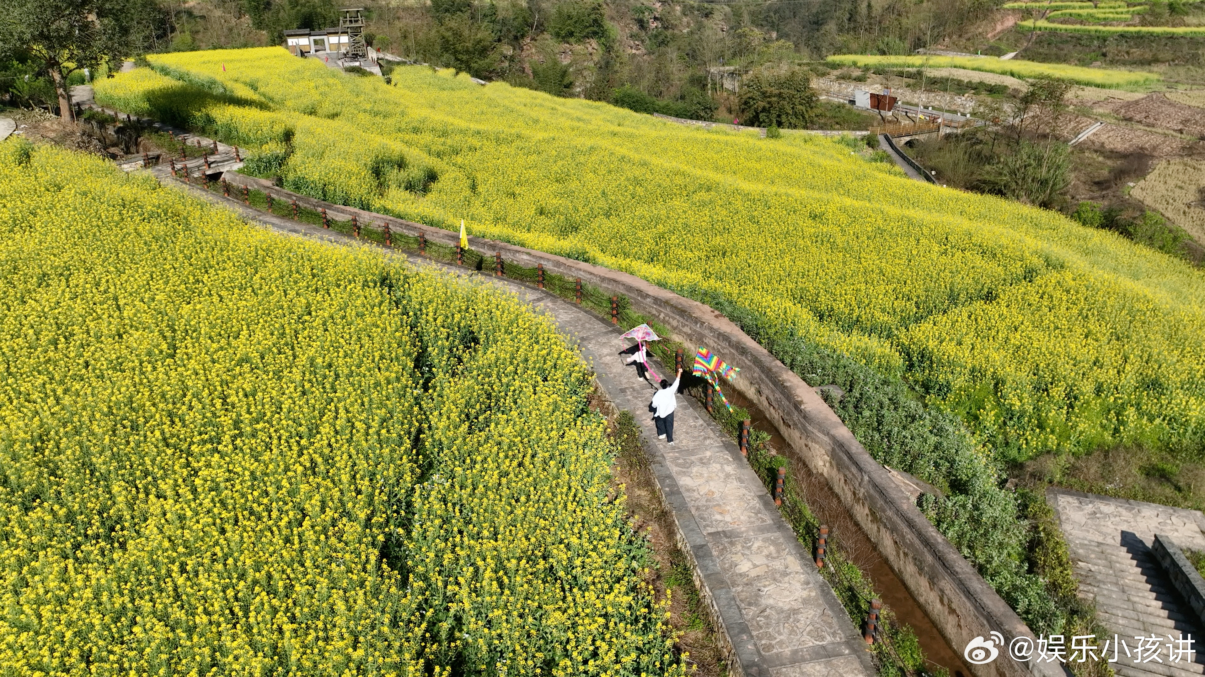 去九丝文昌会赴一场春天的花事是时候来九丝踏春了 李花胜雪漫山间，油菜花鎏金铺满地