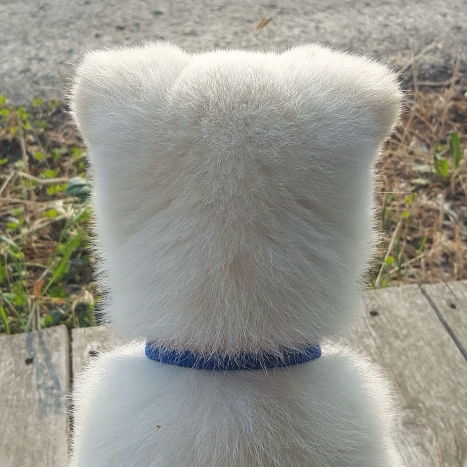 宝宝，你的头看起来很好摸 