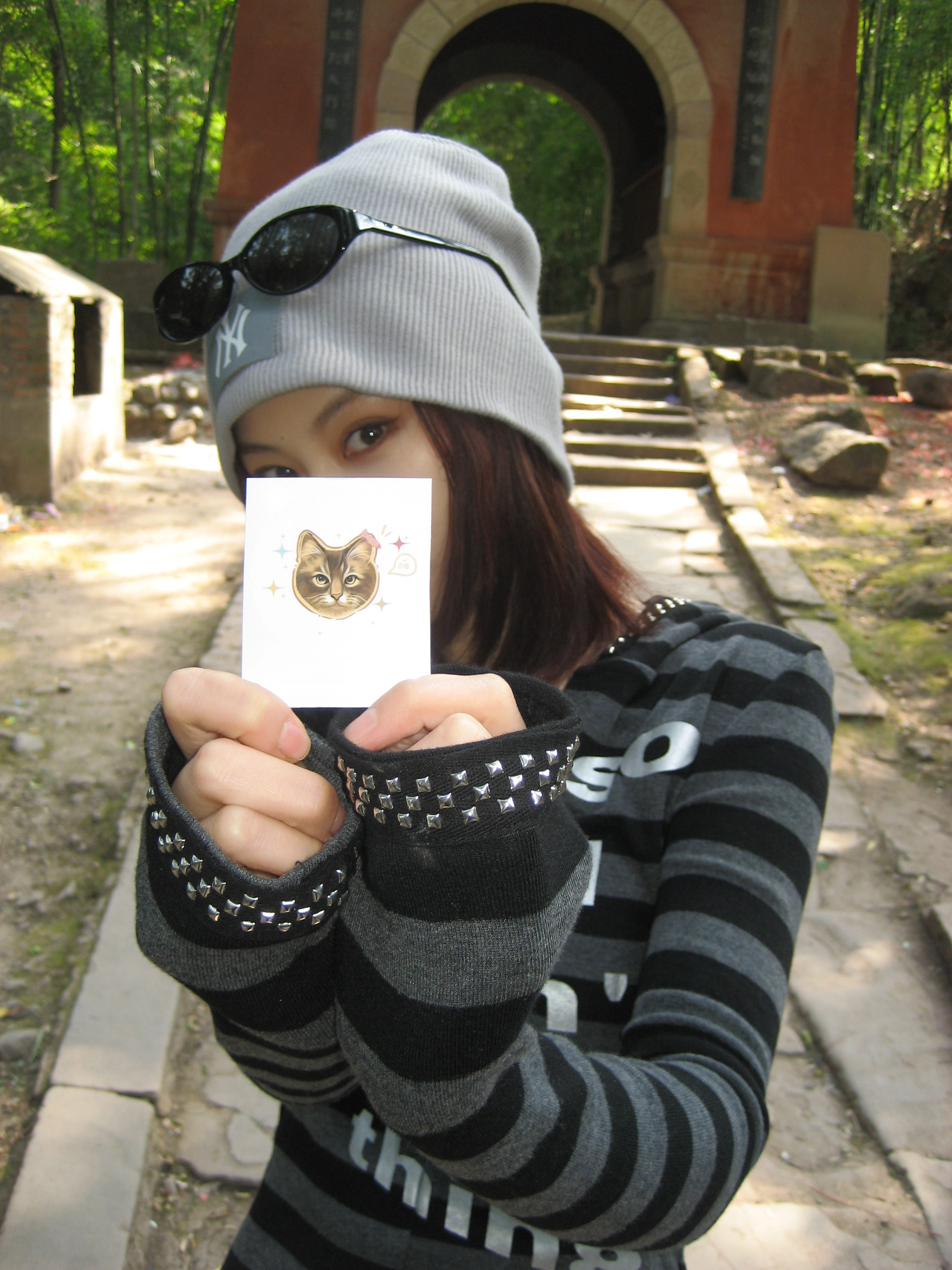 拜见猫猫神！！！ 