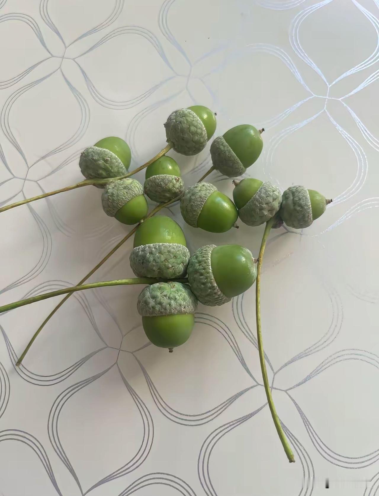 不都说自己见多识广吗？来，说这是啥？