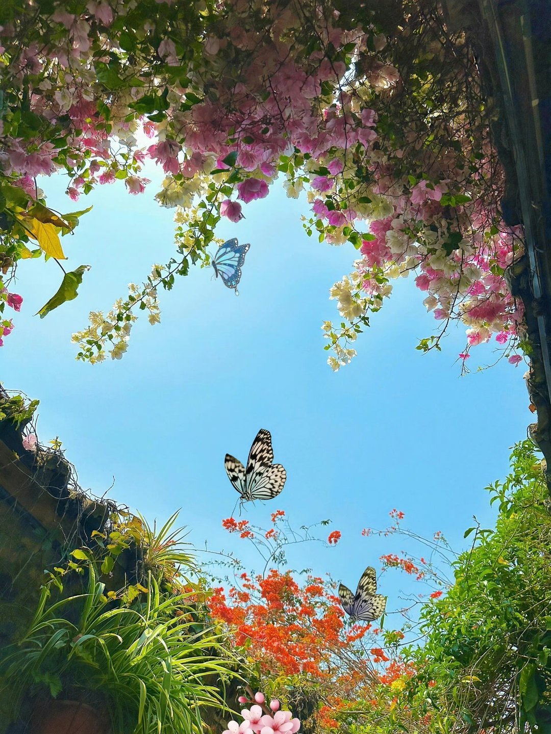 所谓智慧，不是锋芒毕露，而是懂得收敛锋芒，懂得进退有度，于从容中彰显格局，于谦和