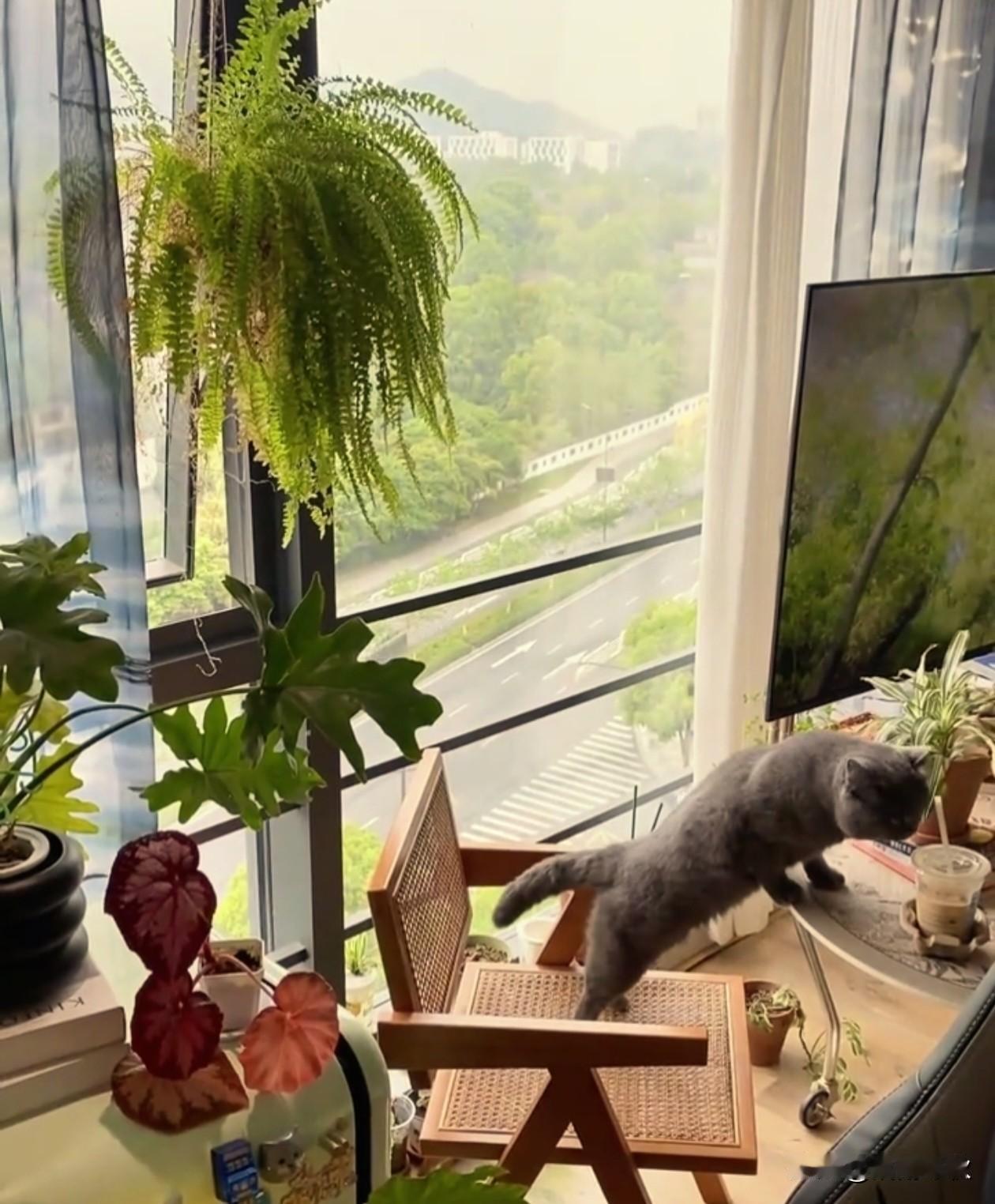 我们终其一生，
不过是想把日子过成自己喜欢的样子。而喜欢的样子，往往很简单。
