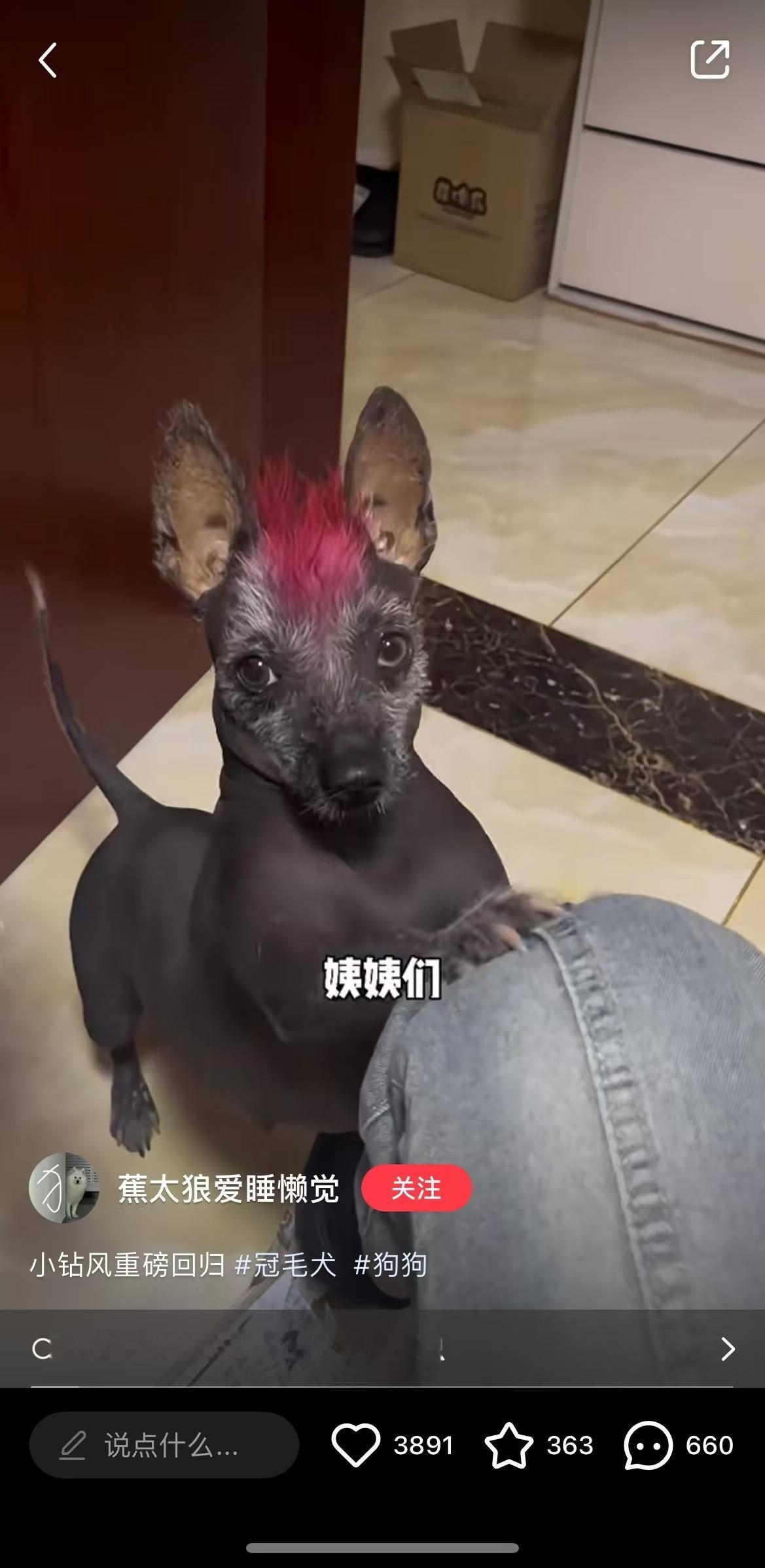 我本来在写推文的，一看到我姑介绍的相亲对象的照片，气得手都在抖，心中一口郁气！！