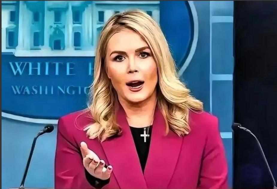 中日闹那么多天，躲在日本背后的第二条大鱼被我们钓了出来。这条大鱼不是别的，正是一