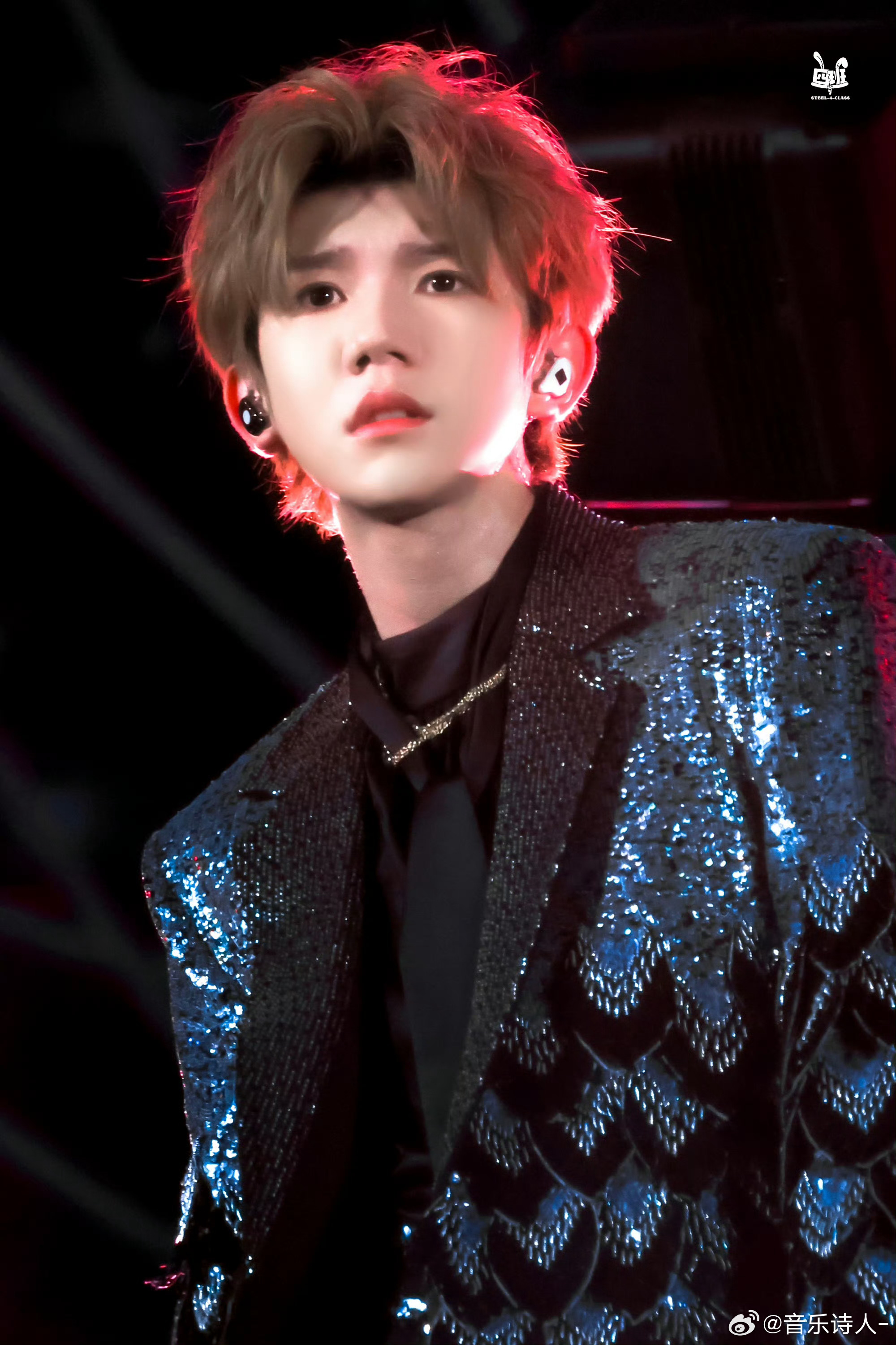纯正小狗狗 