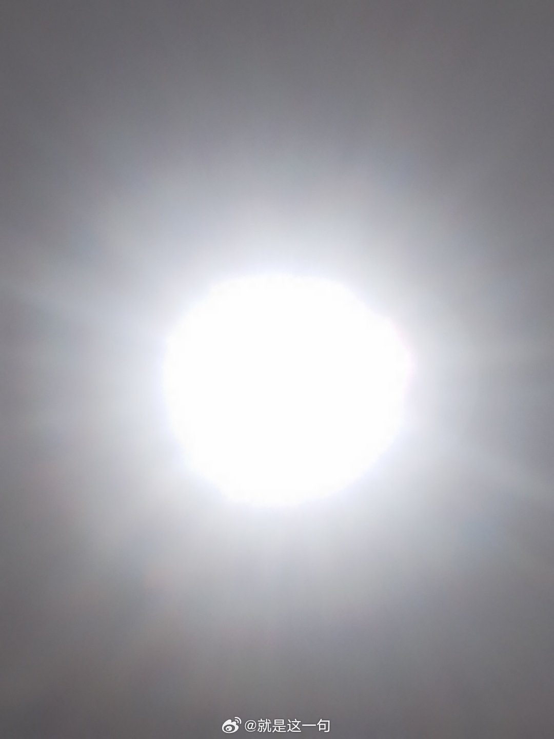 当一个厕所的环境，如同五星级酒店房间一样，进入香气扑鼻而来，摆放绿植，宁愿在里面