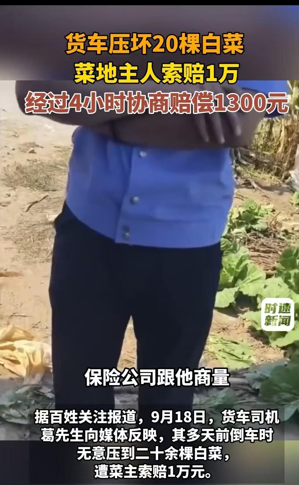 辽阳，男子在倒车的时候，压到了20几颗白菜，有人要求赔偿5000，后来报警，菜主