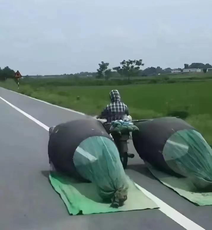 洗个车，把洗车行烧没了，绿化带饱受摧残，这玩意还大批量出口，也不晓得海外如何摆平