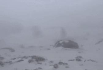 云南一男子爬雪山，爬到一半，突然发现前方出现几个模糊身影，他以为是“驴友”，结果