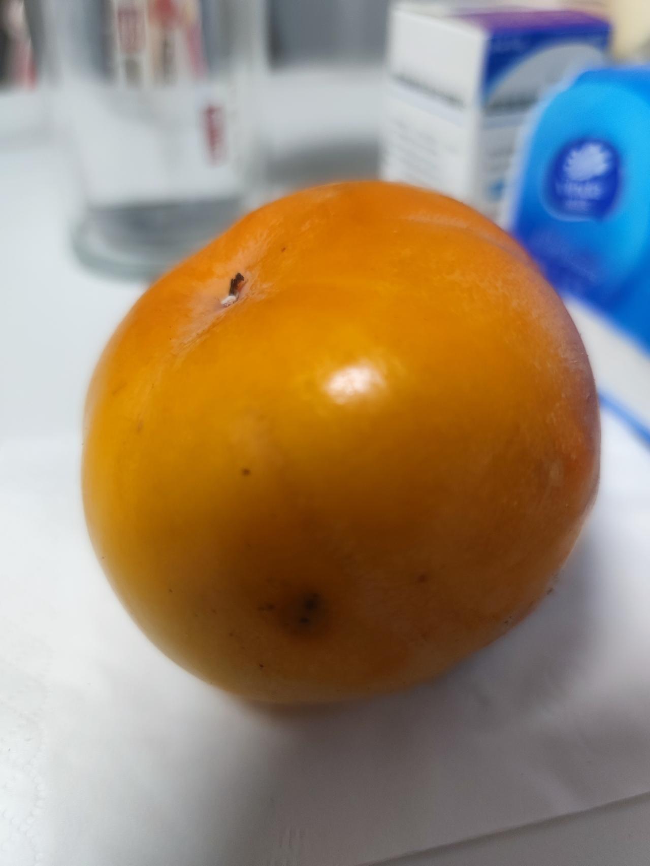 螃蟹上锅，老同志忽然哎呀一声喊了出来：“刚才我俩犯错误了，一人吃了一只柿子，你还