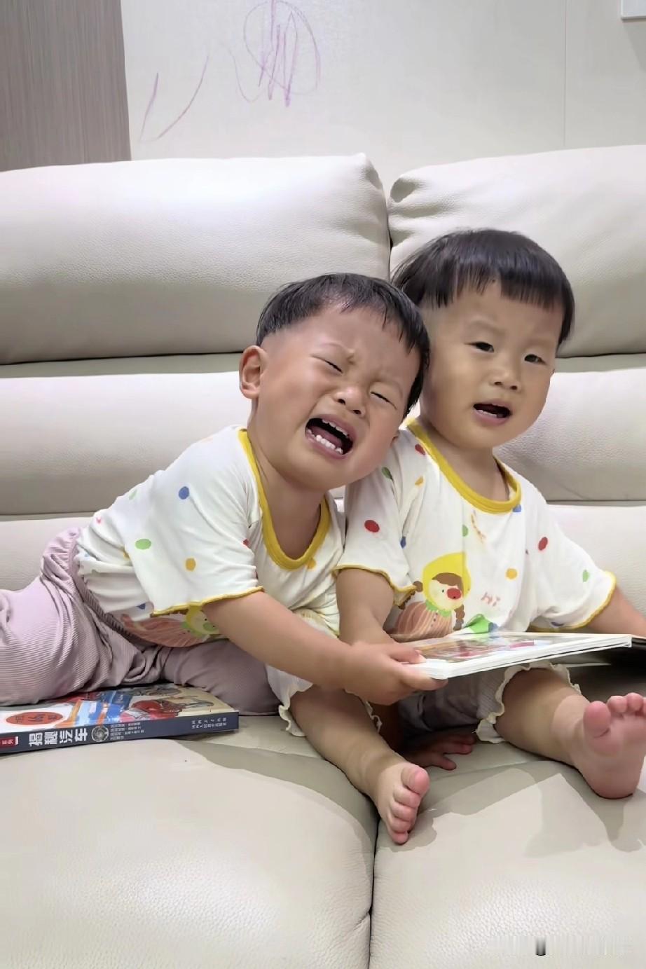 我要是网红小韩
可舍不得让几个孩子哭
看这两口子每次拍视频都给孩子整哭

说不好
