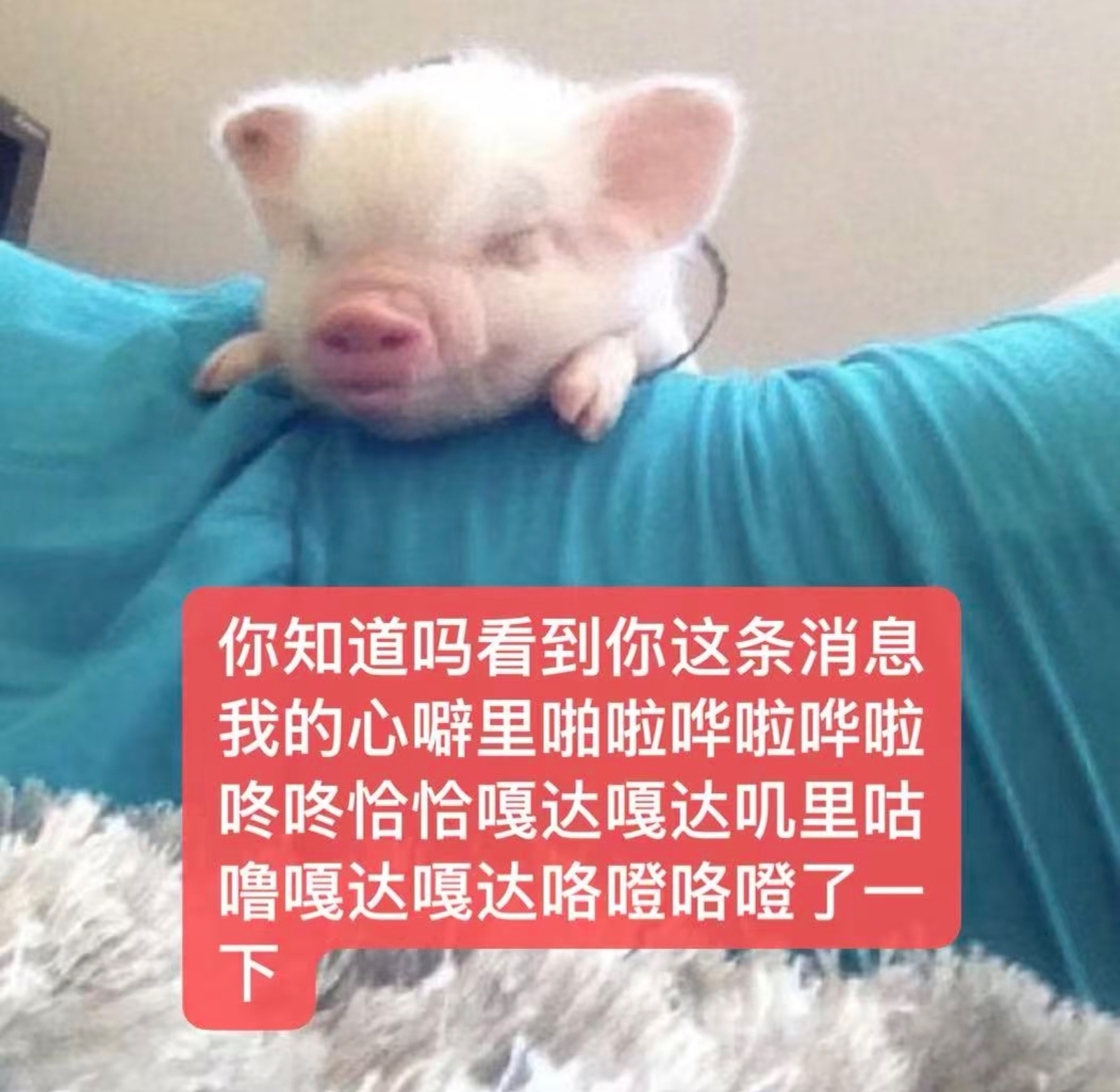 查岗！这个点还有哪个女孩还没睡着？ ​​​
