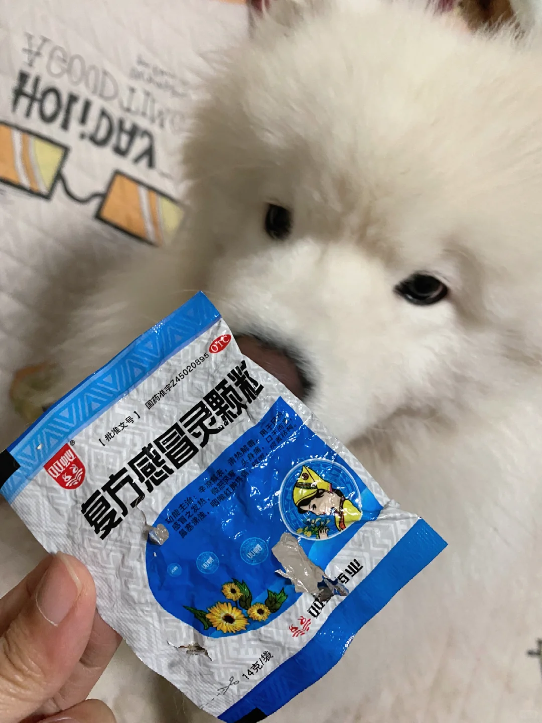 我以为她只是在家撕尿垫