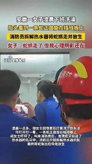 凌晨女子洗澡抬头
撞见蛇盘在插线板上
女子吓懵了
 
安徽阜阳，凌晨1点多，胡女