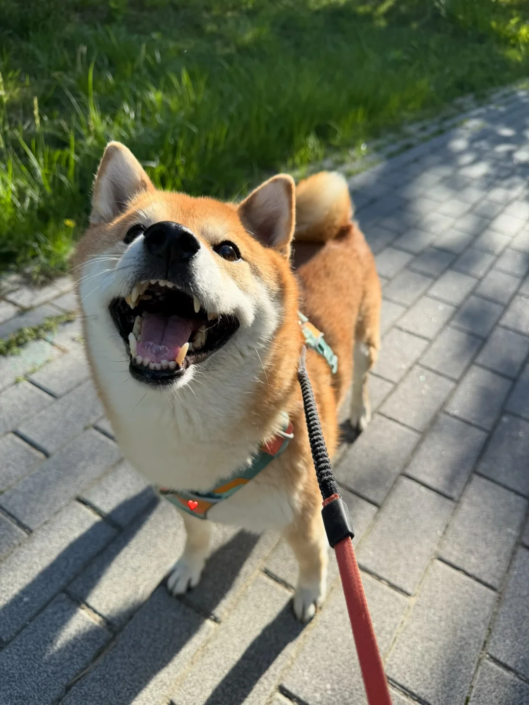 儿童节快乐🎈