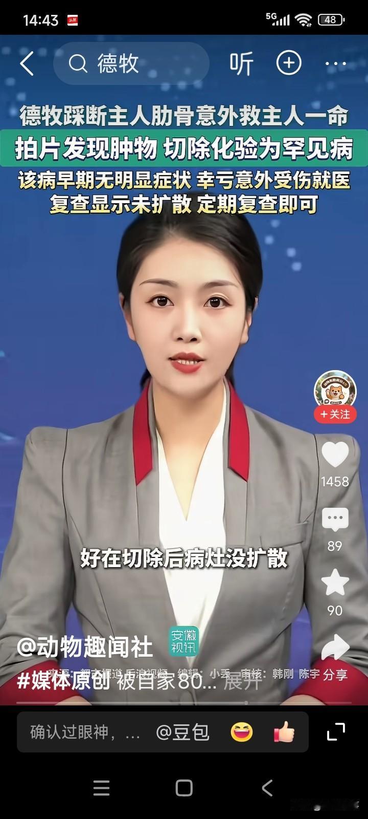 一名男子在家中养了一只德国牧羊犬，这只狗狗体重达80斤。
男子和狗狗玩耍时，狗狗