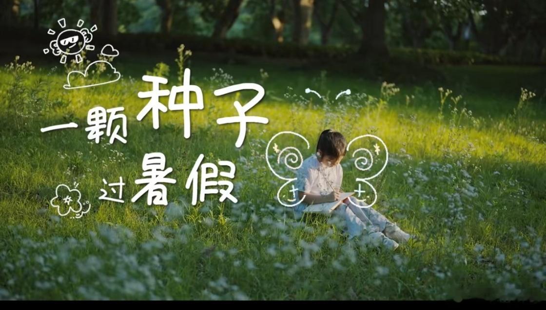 这群年过八旬的银发老者，将沉淀一辈子的学识毫无保留地交付给大山里的孩子。带着孩子