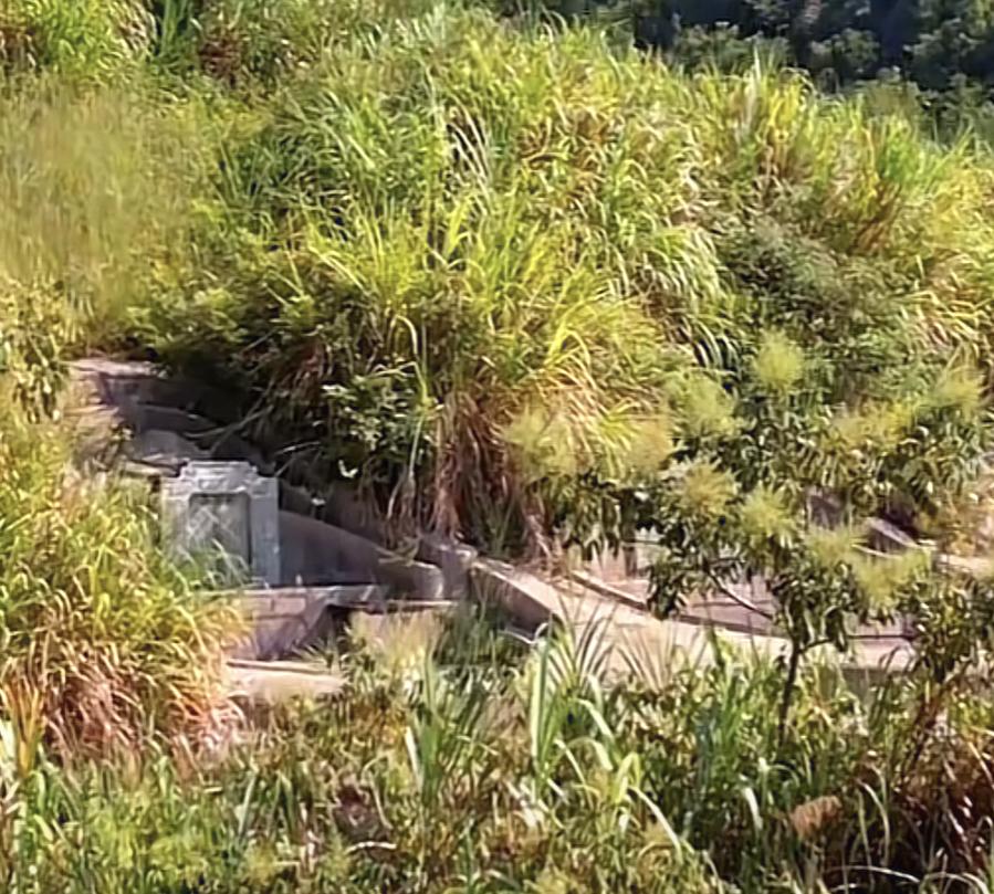 你未经允许把槟榔苗种在我家祖坟旁，我拔了之后被判刑的却反而是我，法律不应该是维护