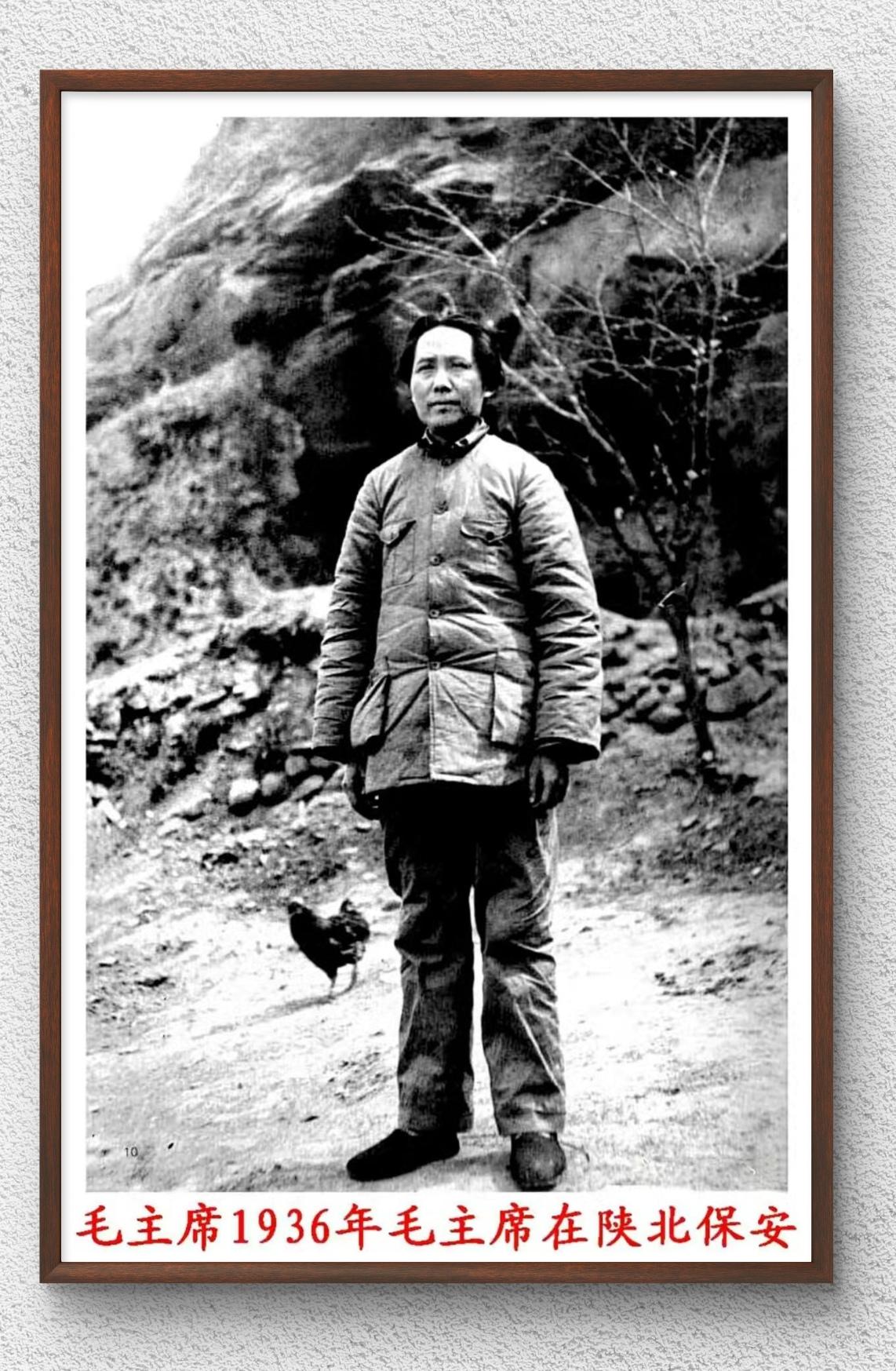 1936年毛泽东同志在陕北保安留下的经典珍贵照片：
当时处于土地革命后期，红军长