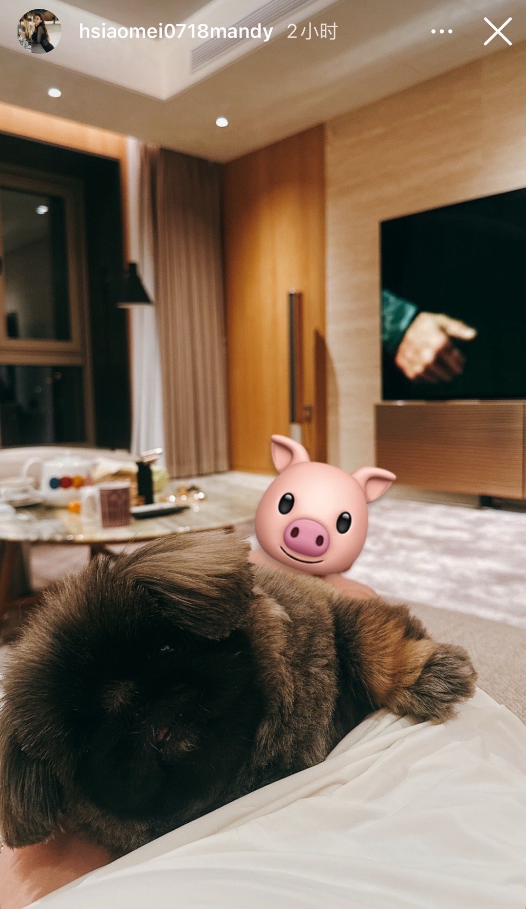 陪孩子过完元旦，马筱梅和汪小菲已经返回北京了 