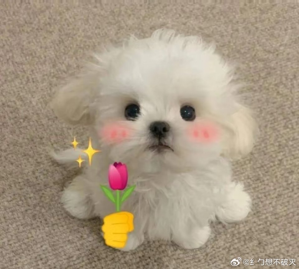 新手停车难售后驱车50分钟上门画线本来只是抱着试试的心态找售后，没想到师傅真的驱