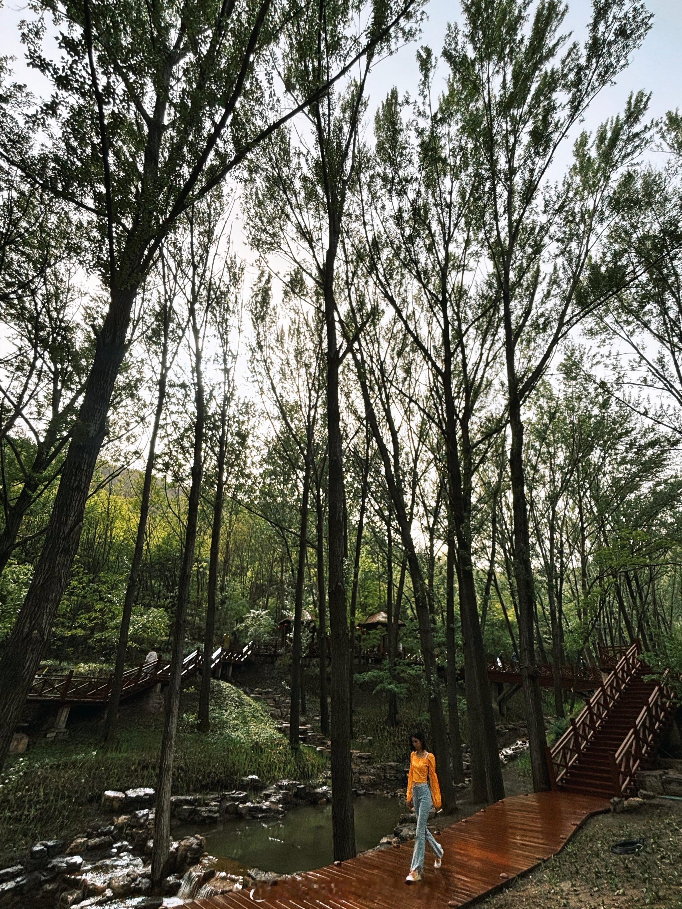五一劳动节太原旅行山西旅游为什么还不火 山西太原之蒙山大佛～🇨🇳  ​​​