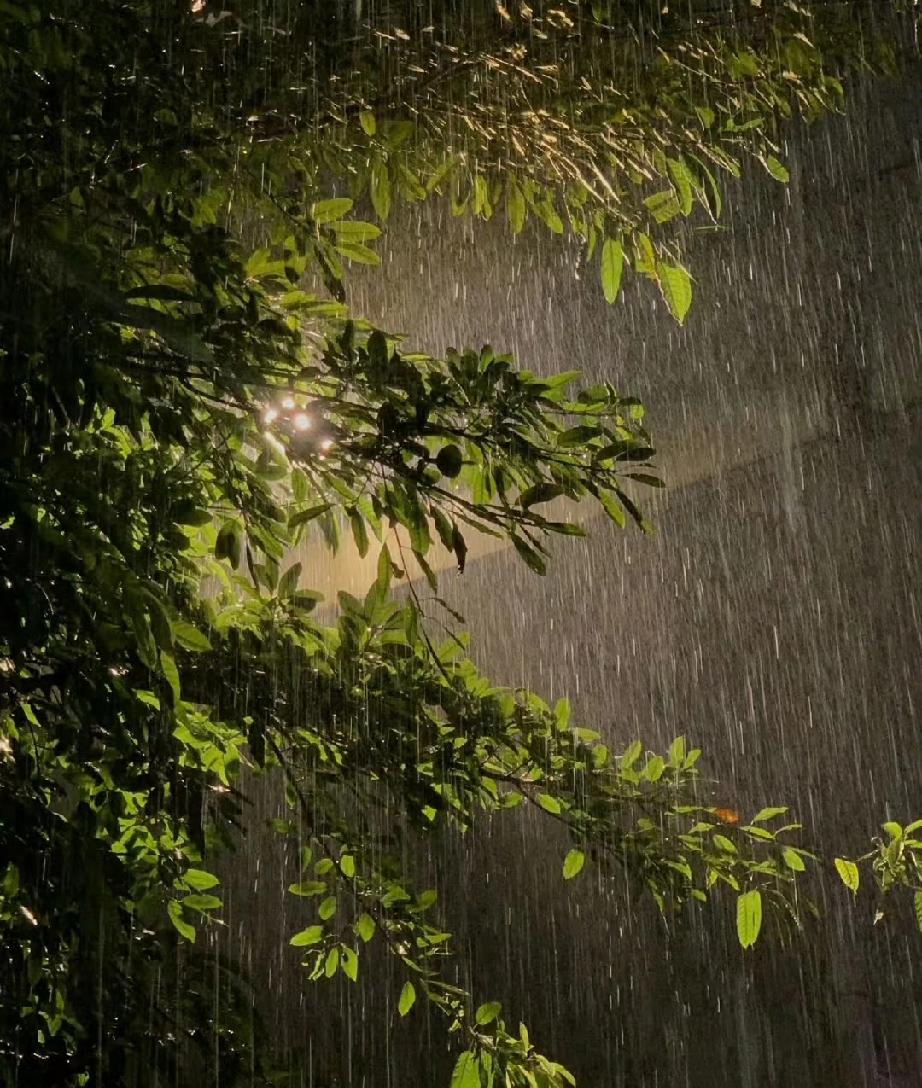 凌晨三点被雨声吵醒，今年的天气不知怎么了，这么多雨下，而且都是狂风暴雨的那一种，