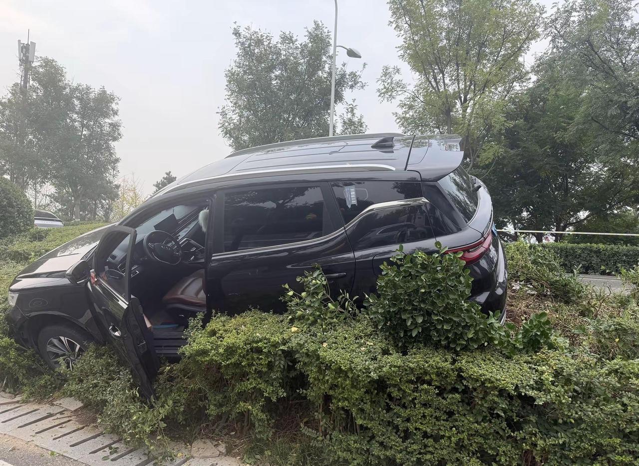 开车不摸狗，摸狗不开车，这是边开边摸的下场😭关键还是在后天马拉松重要路段，不到