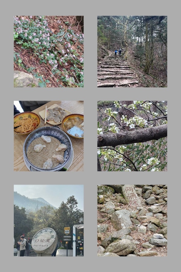 ‎一条plog告别三月 🥰🥰🥰🥰三月溜走了 