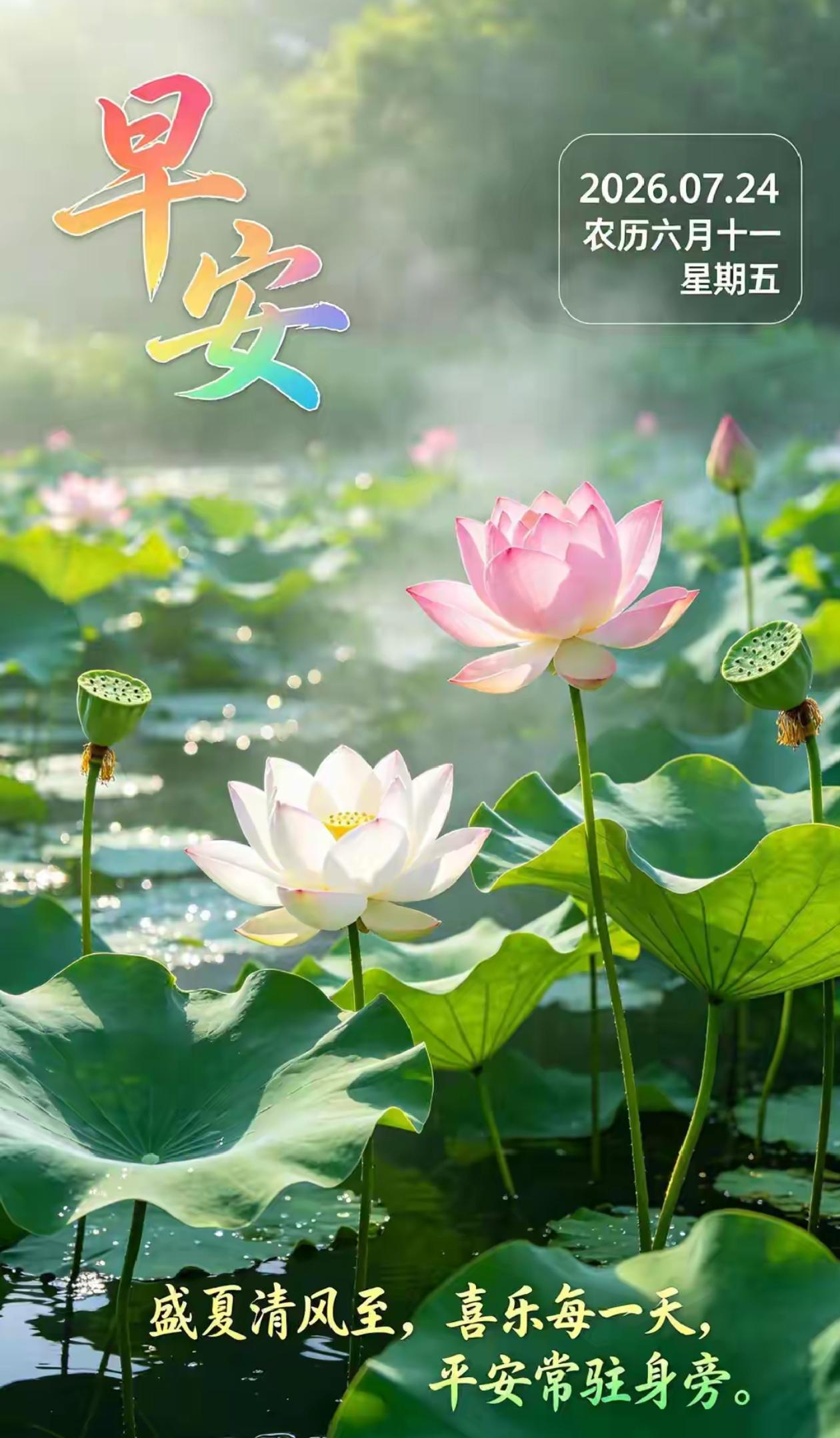 🌺2026./7月24日，从宿经盛夏，四季吉祥开🌺

大暑熏蒸夏日长，
愿携