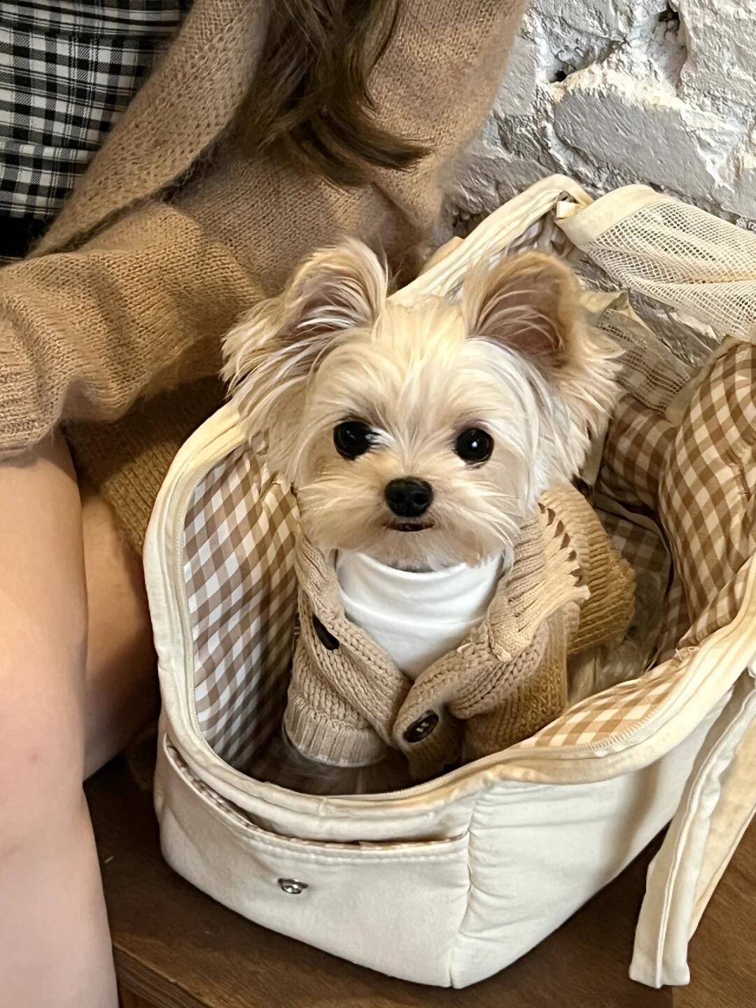 怎么会有这么可爱的宝宝 