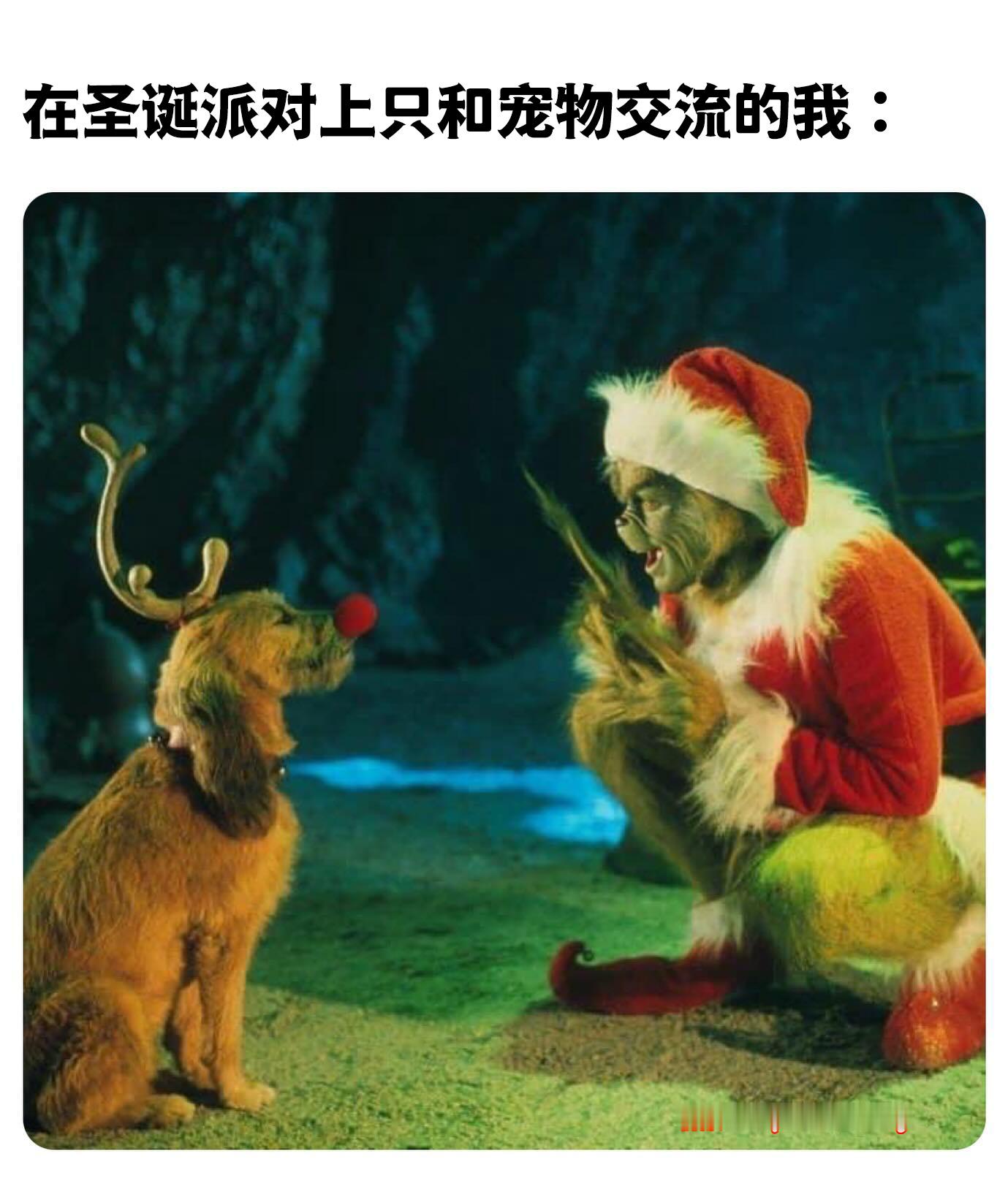 我只和小猫小狗说话噢 