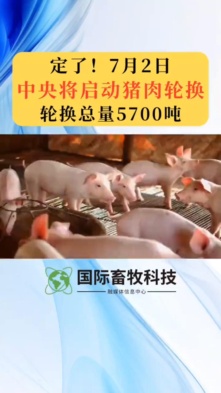 据最新消息，七月二日我国将开展新一轮中央储备冻猪肉轮换出库进价交易，本次交易总量