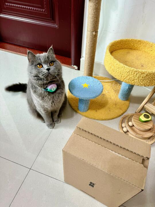 【异兽全效烘焙猫粮测评】肉食控猫咪必囤！95%动物蛋白天花板 	 这次...