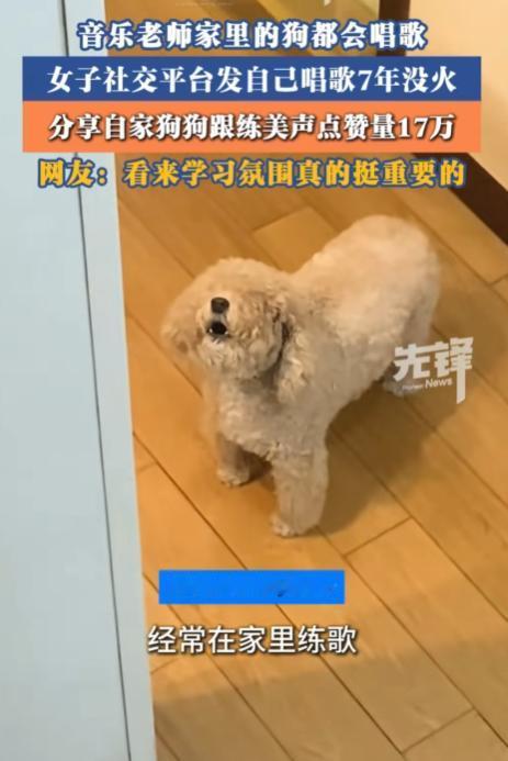上海，一位音乐老师，发了7年自己的唱歌作品，结果一直无人问津，让人万万没想到的是